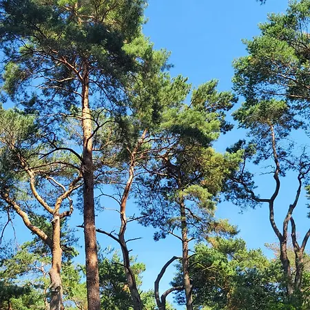 Beachbungalow בית נופש *